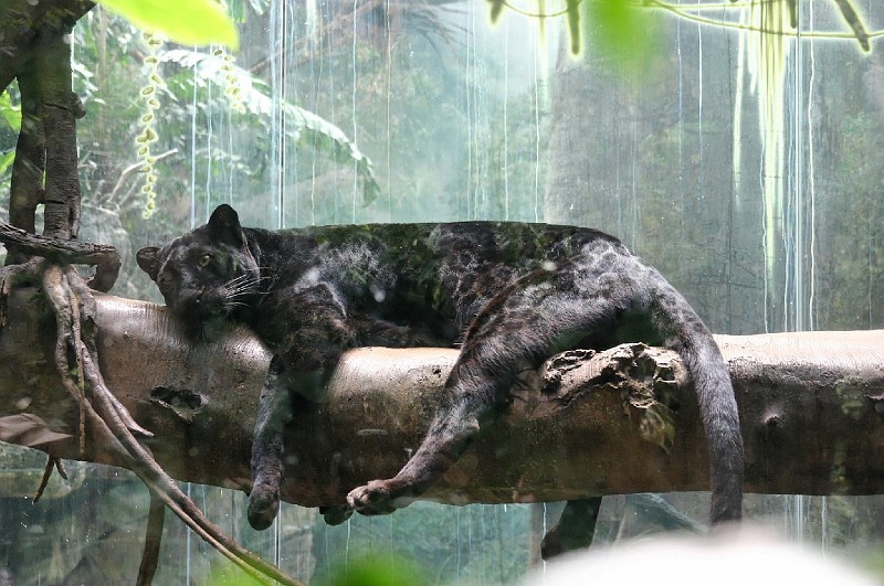 Zoo-0004.jpg