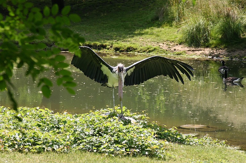 Zoo-0006.jpg