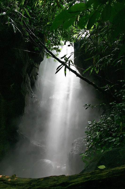 Zoo-0008.jpg